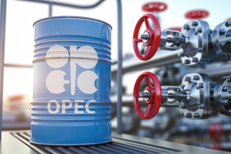 OPEC believes that oil demand will increase in 2024