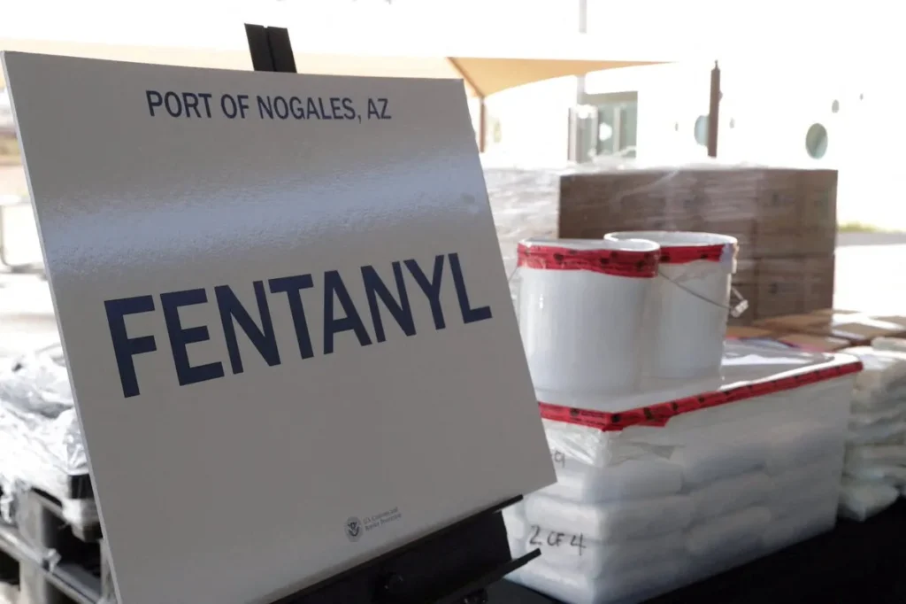 Objectives of the anti-fentanyl commando group in Mexico