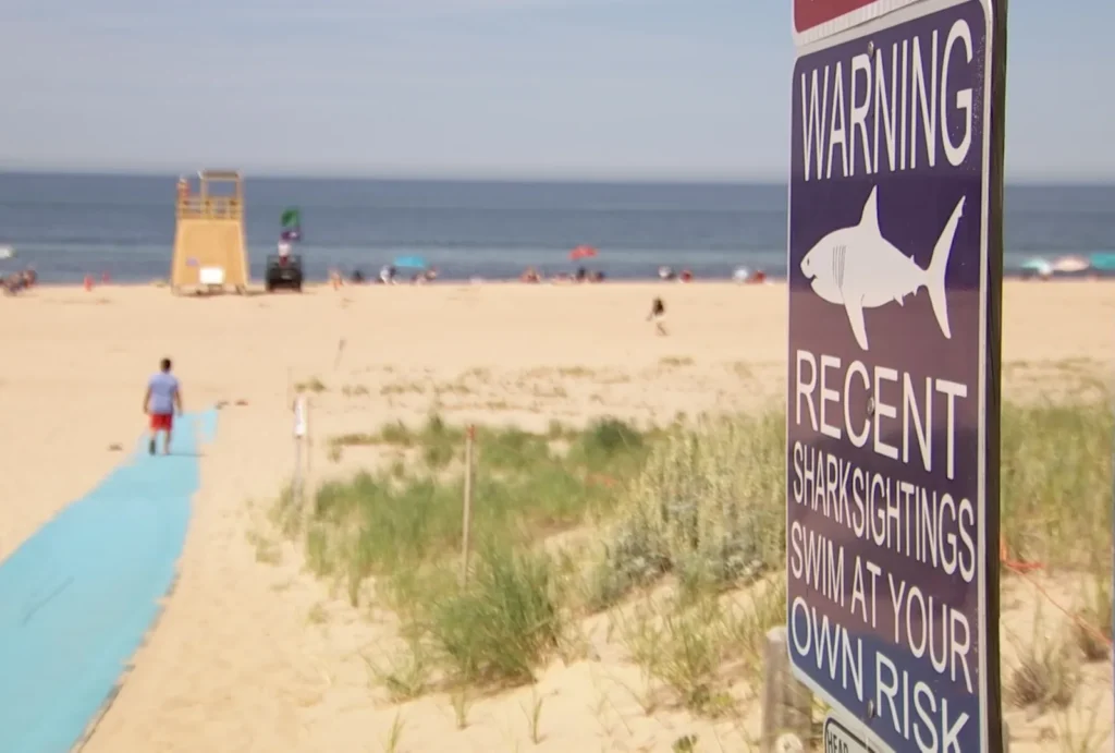 A shark on a California beach: 24-hour closure