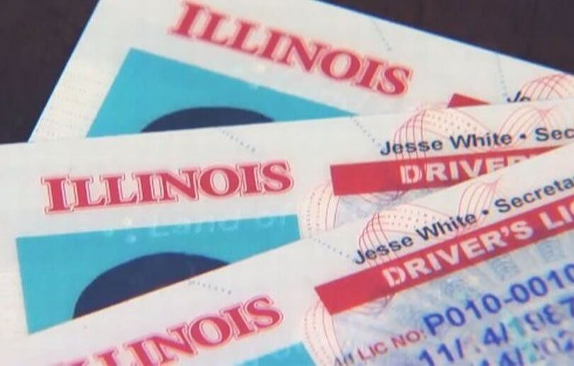 Driver’s license for undocumented immigrants in Illinois: Requirements